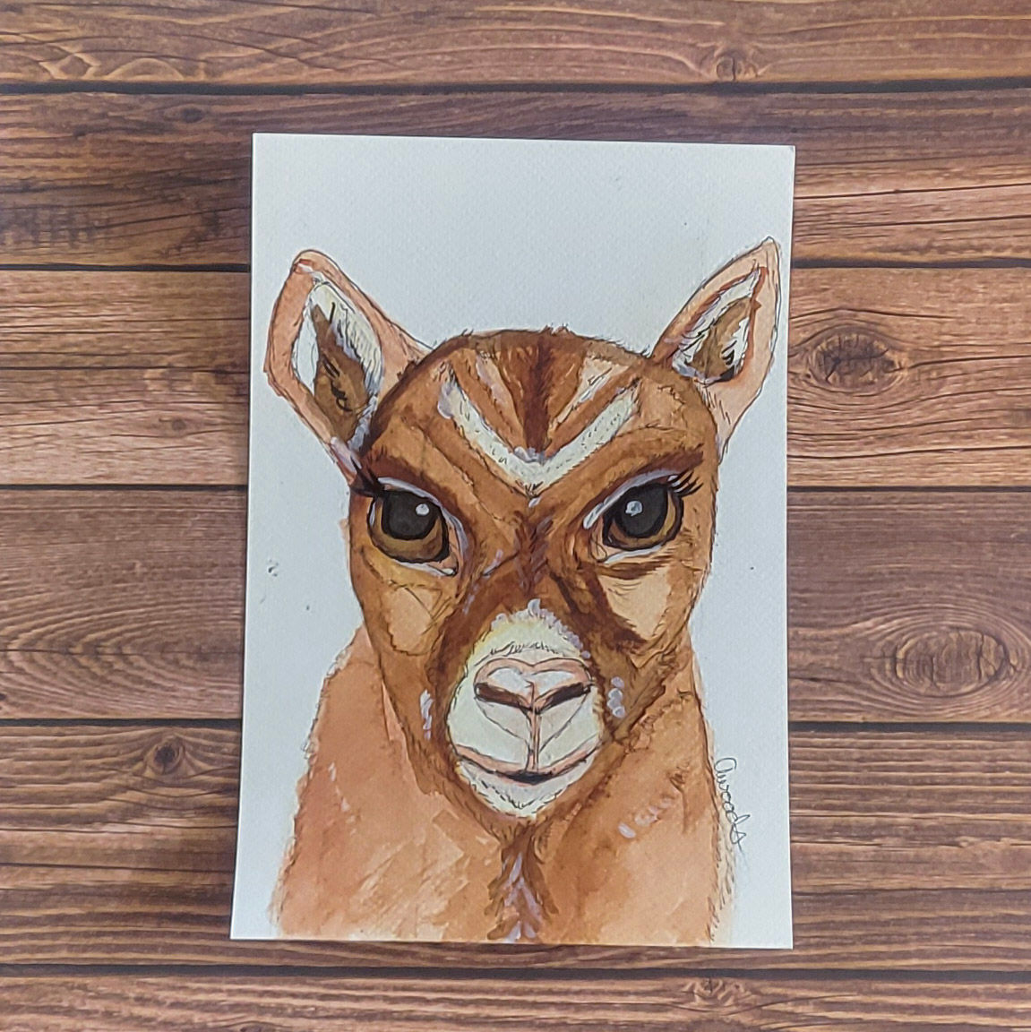 Goat Watercolor Original