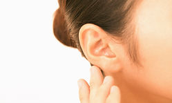 23908020_s (1)_edited.jpg