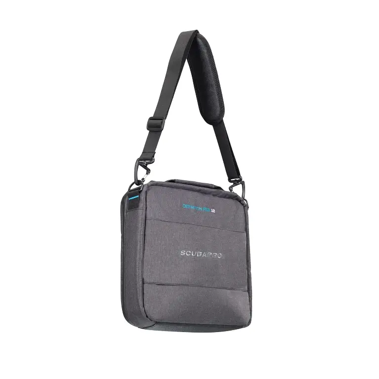Thumbnail: DEFINITION REGULATOR 10 BAG