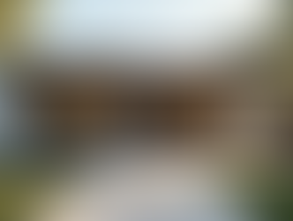 The Future of Short-Term Rentals with Management Companies in Focus