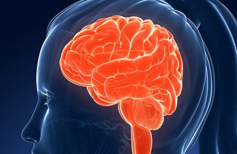 Bon plan : Booster d'intelligence