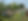 IMG_1960.jpeg