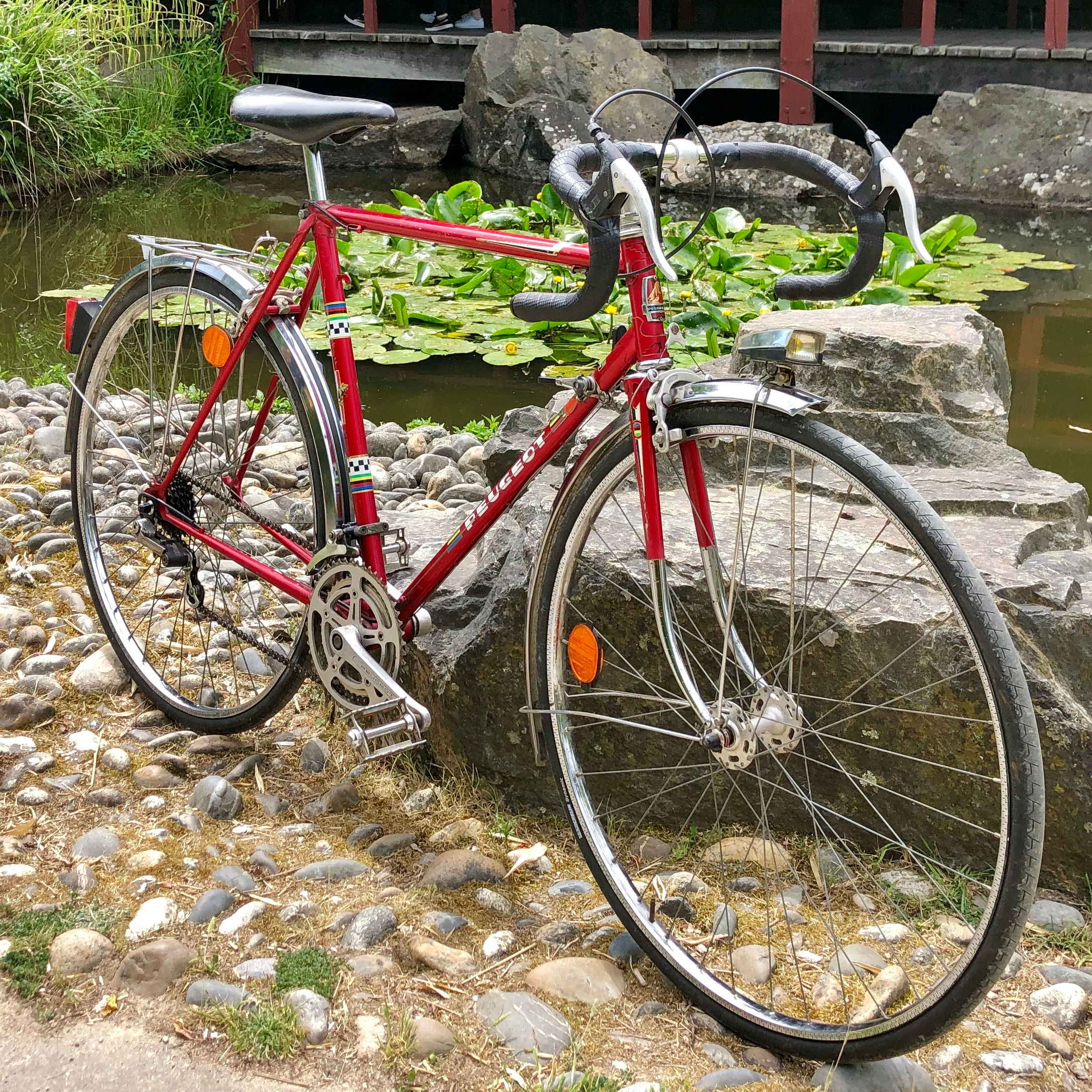 Peugeot Record du Monde