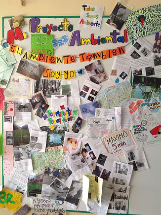 Muro Ambiental.jpg