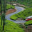 الصورة المصغرة: Vagamon is famous for its serene pine forests, lush green meadows, and picturesque waterfalls