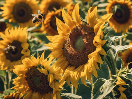 Global Warming Solutions: Sustainable Farming Advice