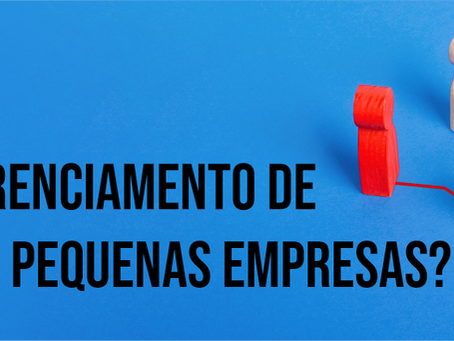 Como é o gerenciamento de projetos em pequenas empresas?