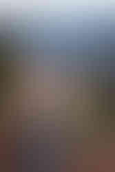 garden of the gods honeymoon photography