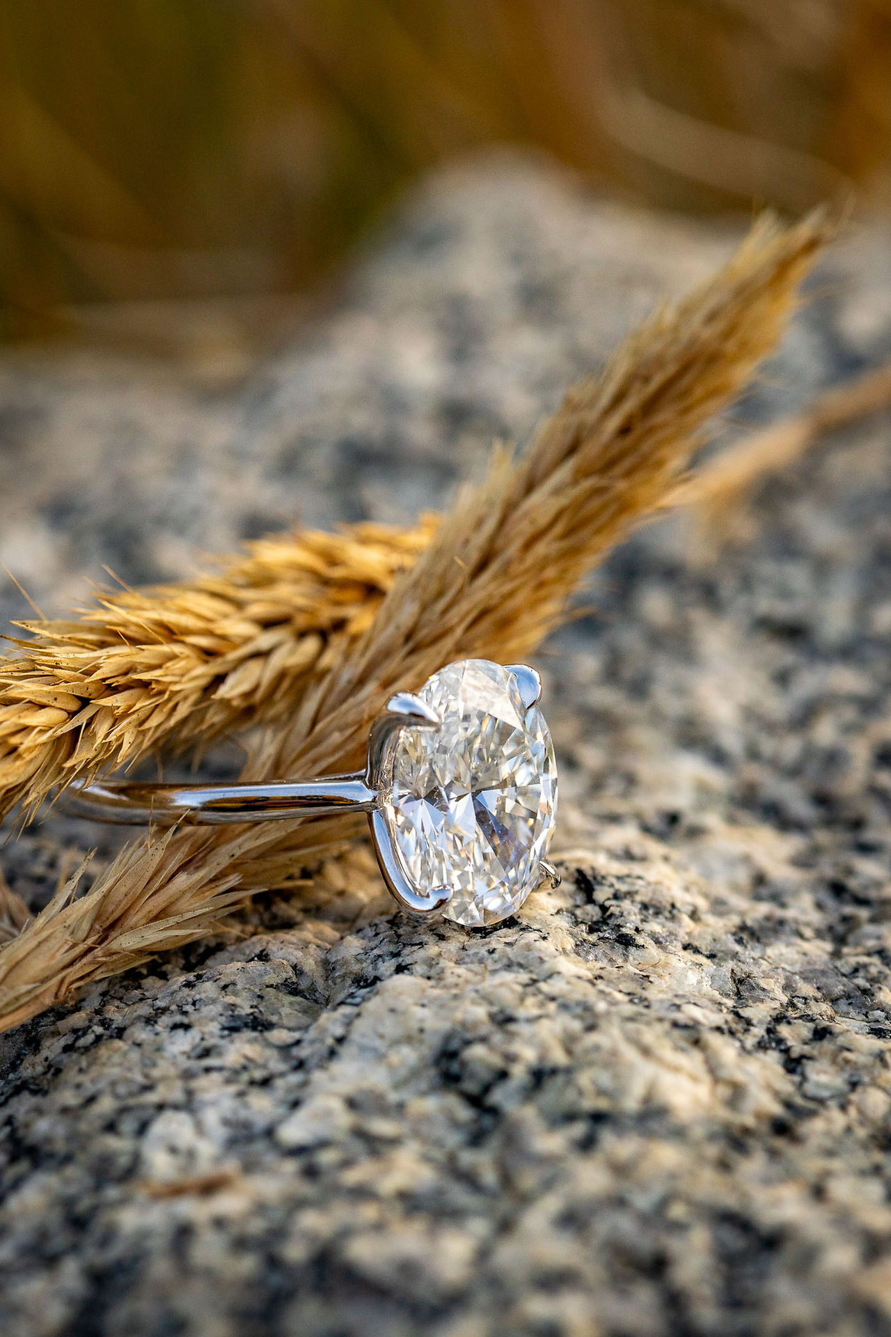brainard lake surprise proposal