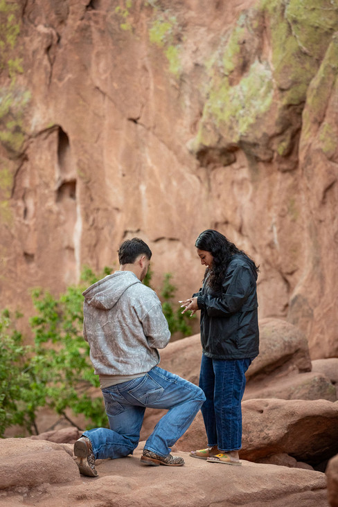 garden of the gods surprise proposal