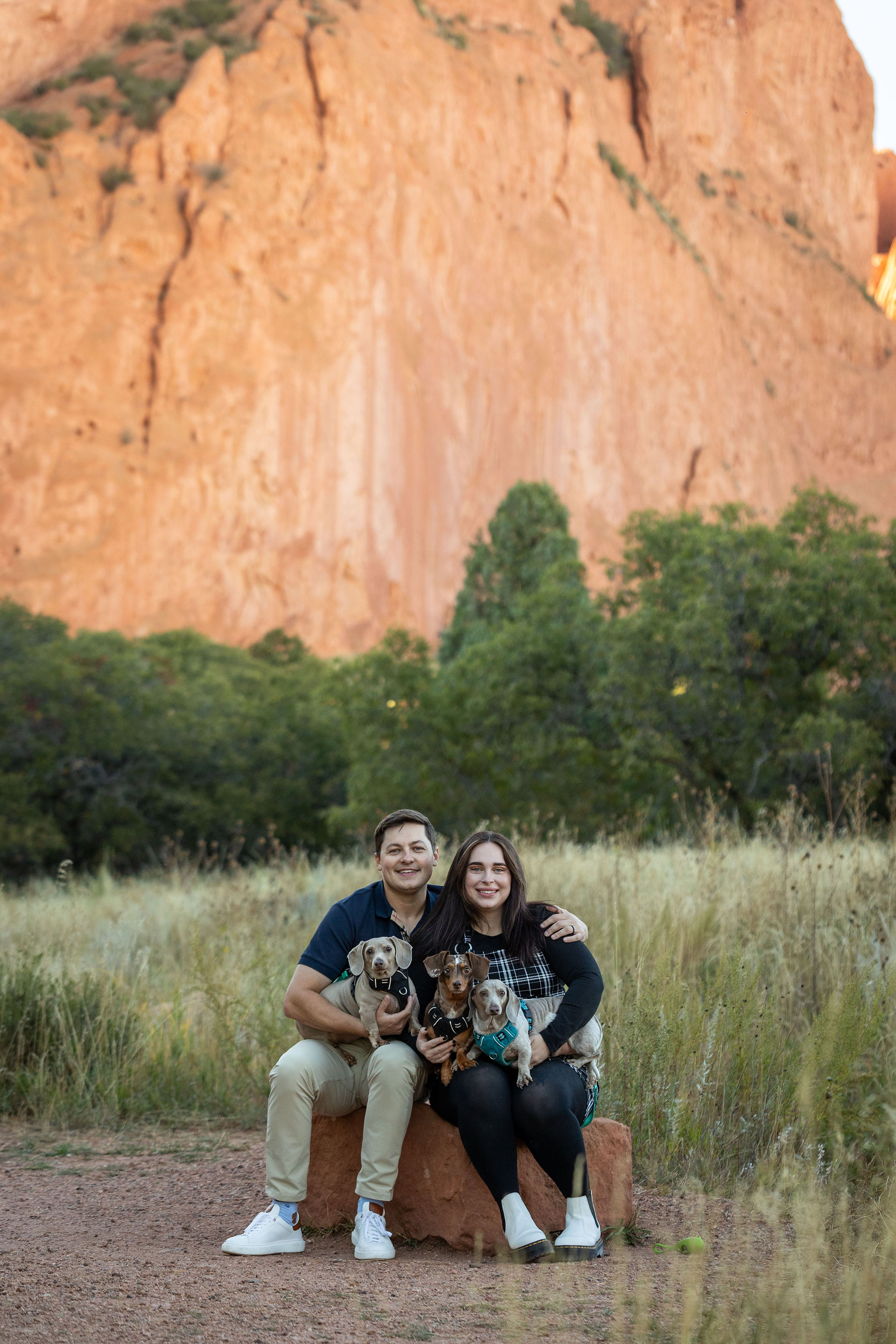 maternity session with dogs at Garden of the Gods