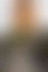 Garden of the Gods elopement in Colorado