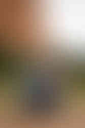 Garden of the Gods family photographer