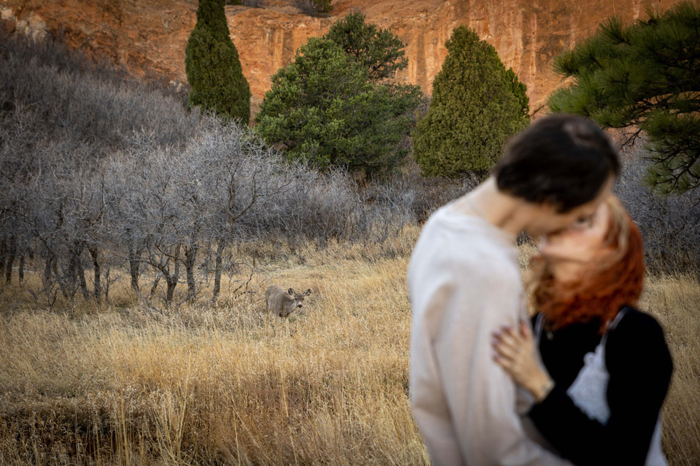 Garden of the Gods Engagement Session