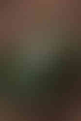 garden of the gods engagement photography