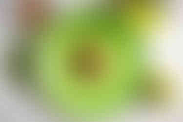 Colorado food photographer