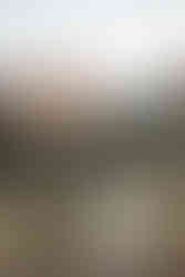 Colorado Elopement Photographer