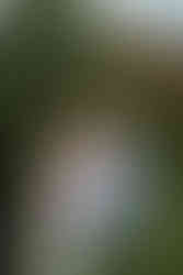 rainy Garden of the Gods engagement session