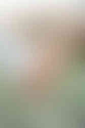 garden of the gods proposal mistakes