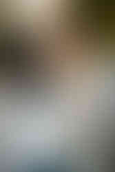 Garden of the Gods Engagement Session