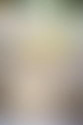 Broadmoor wedding photographer