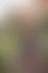 Garden of the Gods anniversary photography