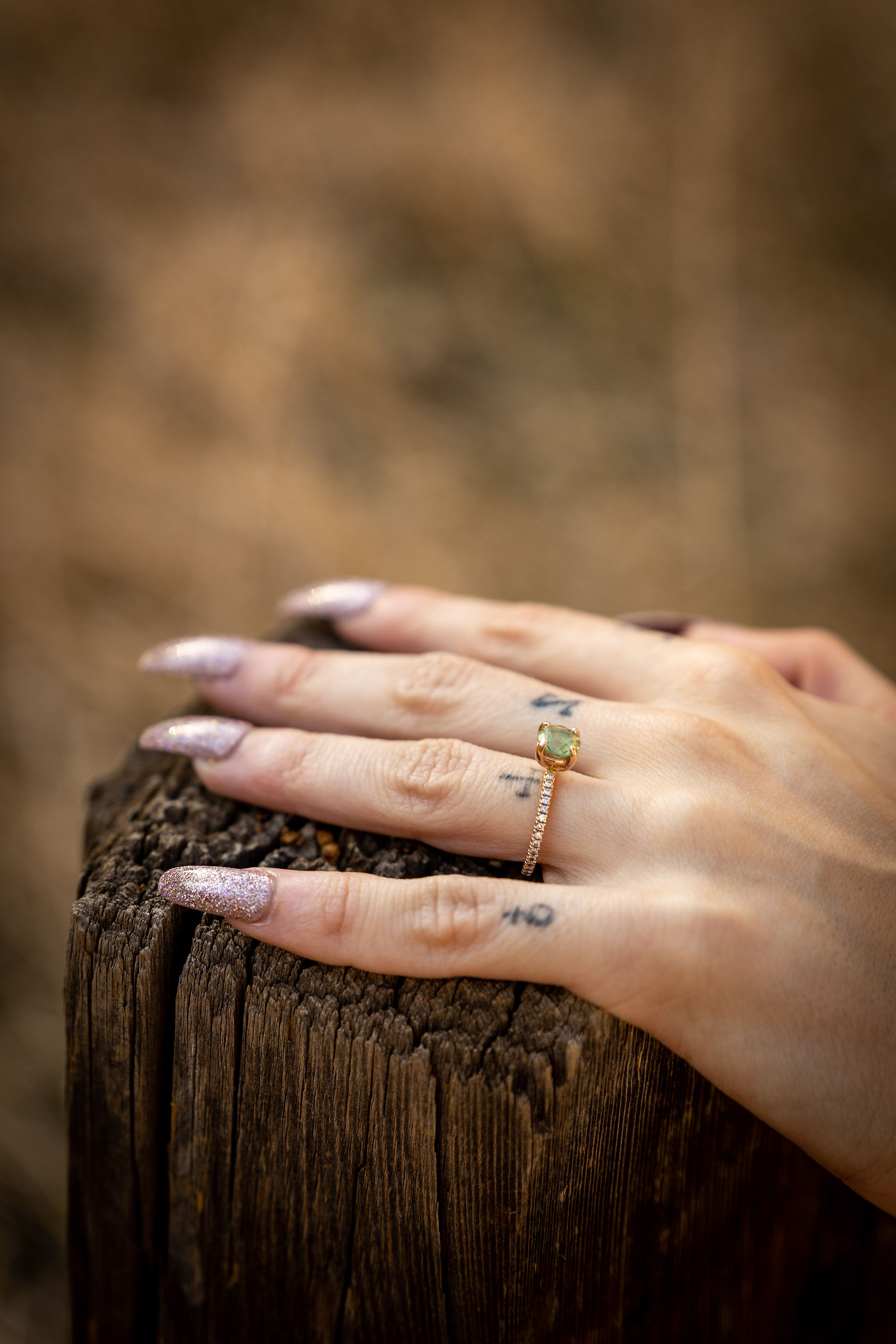 Garden of the Gods Engagement Session
