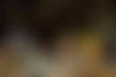 mexico city elopement guide