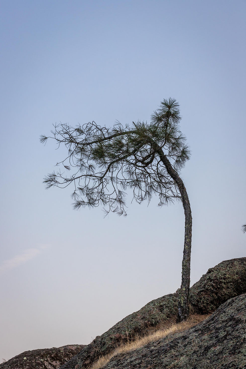 camping and photography at Pinnacles National Park
