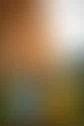 Garden of the Gods family photography