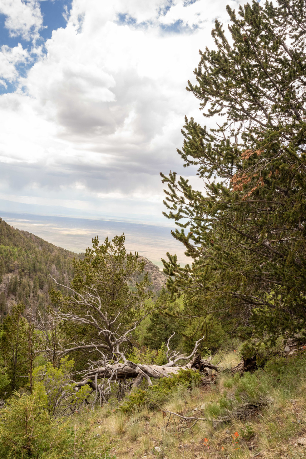south zapata lake trail hiking guide