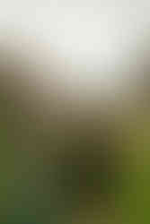 garden of the gods couple session