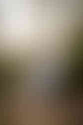 Garden of the Gods elopement photographer