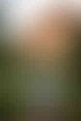 Garden of the Gods family photographer