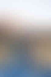 rock ledge ranch family photography