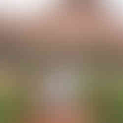 Colorado Springs Elopement Photographer