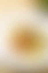 Colorado food photographer