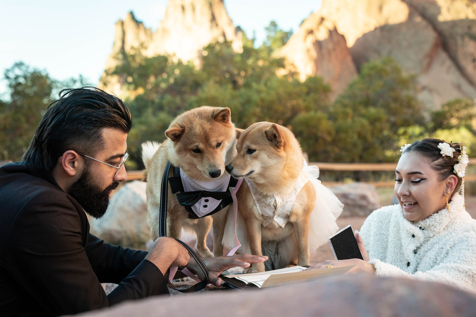 Sunrise Elopement at Garden of the Gods
