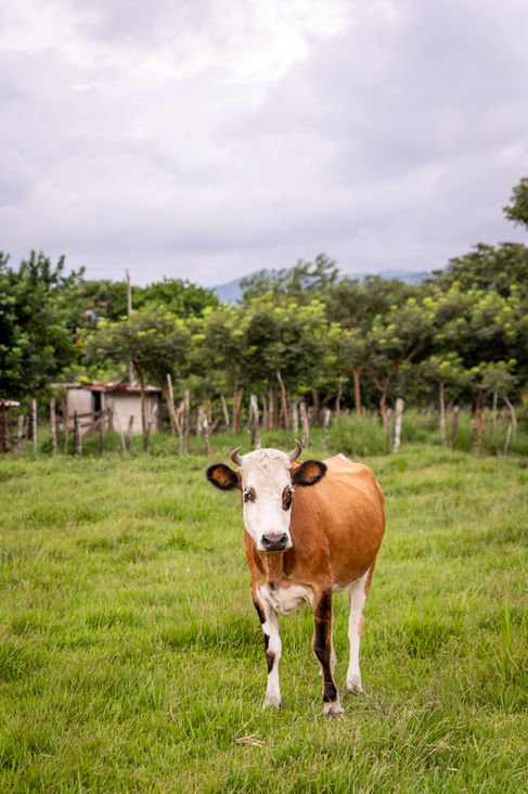 Costa Rica Elopement Photographer