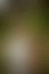 Garden of the Gods family photography