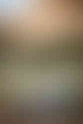 Garden of the Gods Engagement Session