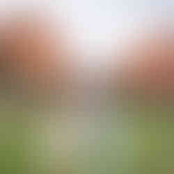 Colorado Springs Elopement Photographer