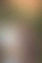 Garden of the Gods anniversary photography