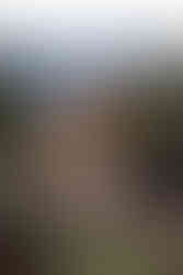 garden of the gods engagement photography