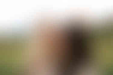 Colorado Springs Family Photographer