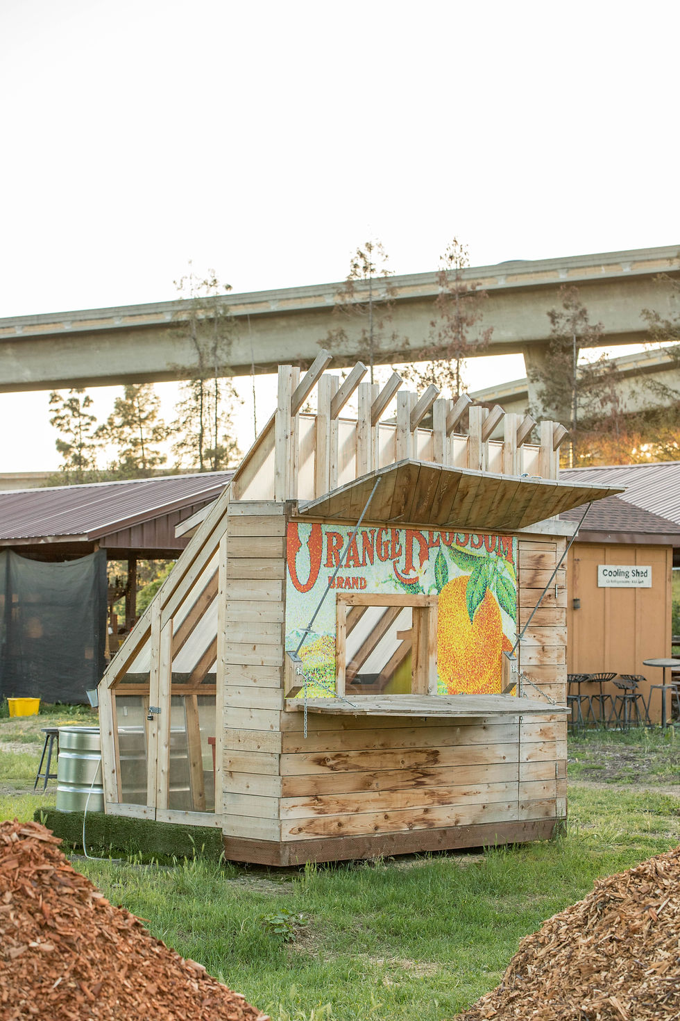 event photography at Veggielution San Jose