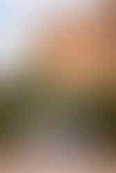 Garden of the Gods family photographer