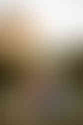 Colorado Springs proposal photographer