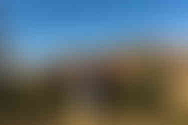 cascade chipita park engagement session