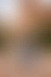 Garden of the Gods family photographer